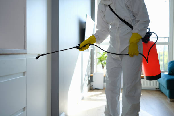 Best Emergency Mold Removal  in Governors Village, NC
